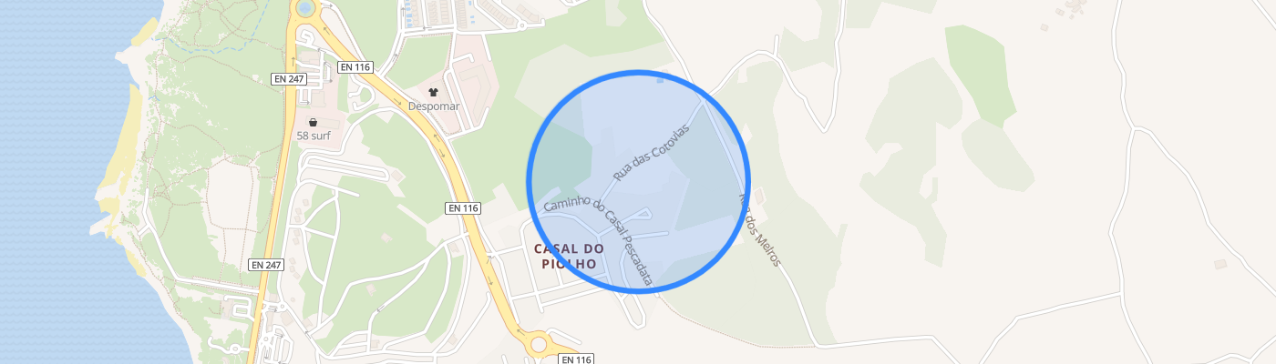 listing-map-picture