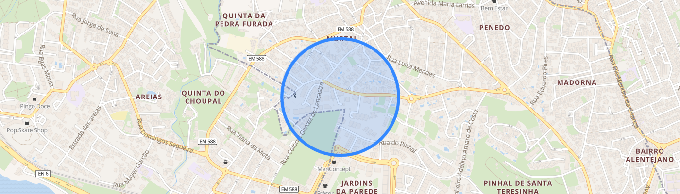 listing-map-picture
