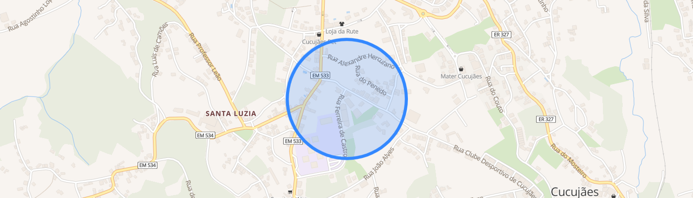 listing-map-picture