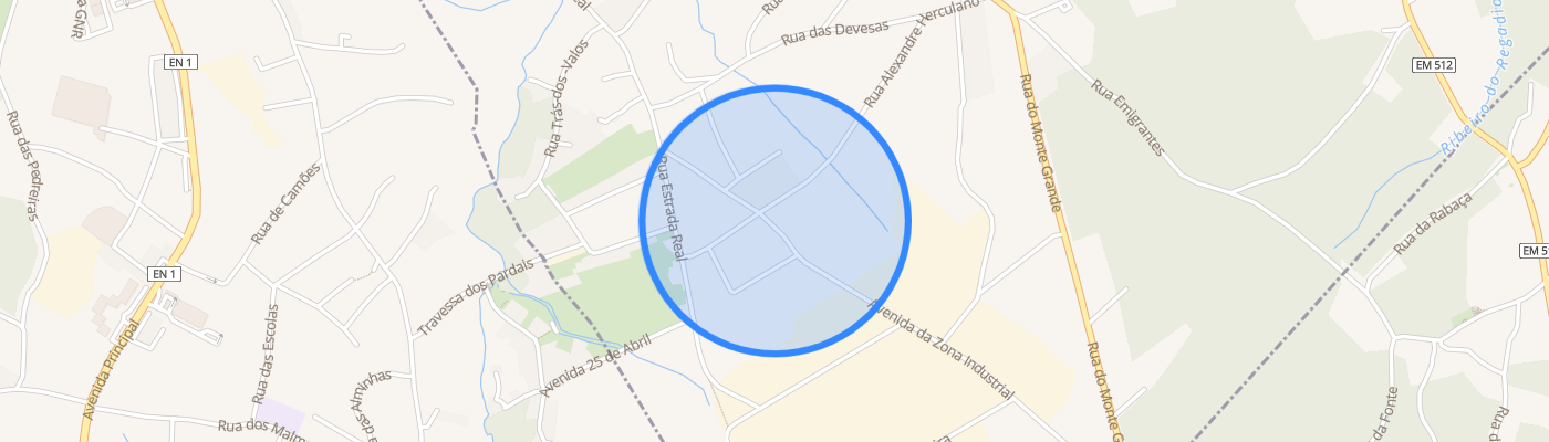 listing-map-picture