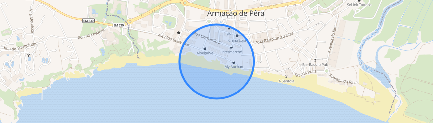 listing-map-picture
