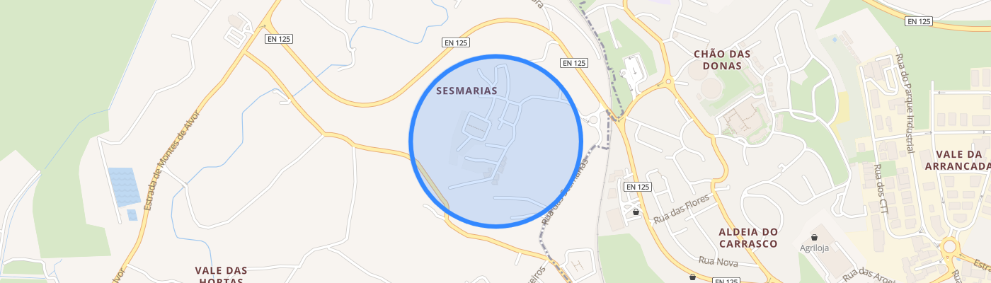 listing-map-picture