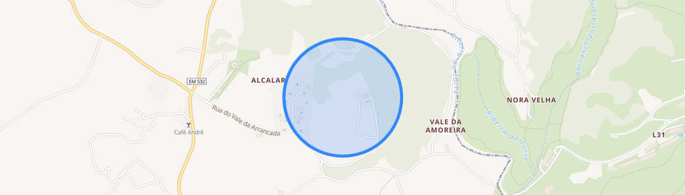 listing-map-picture