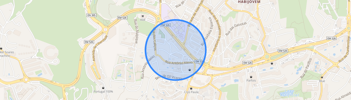listing-map-picture