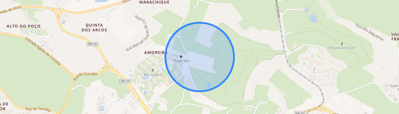 listing-map-picture