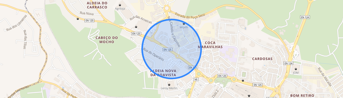 listing-map-picture
