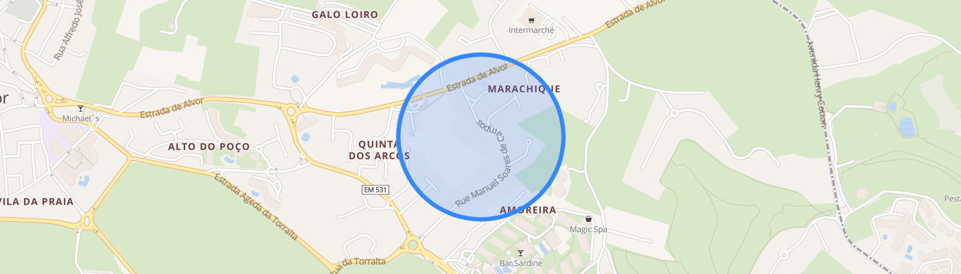 listing-map-picture