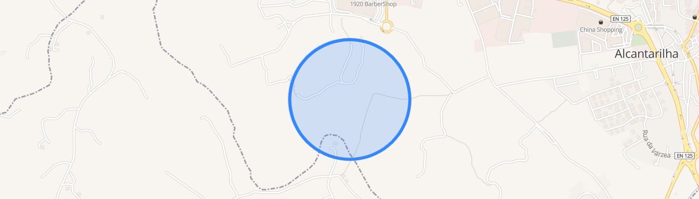 listing-map-picture