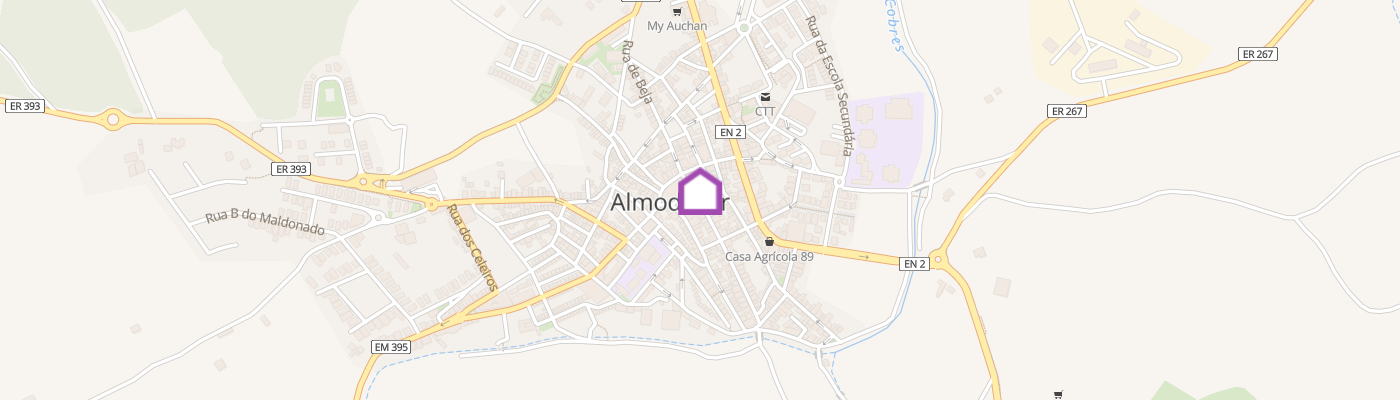 listing-map-picture