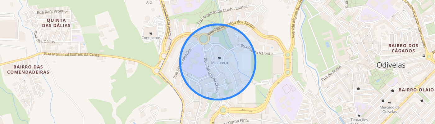 listing-map-picture