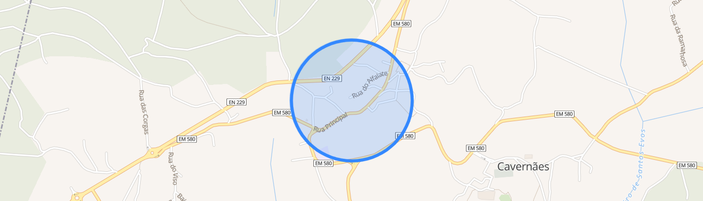 listing-map-picture