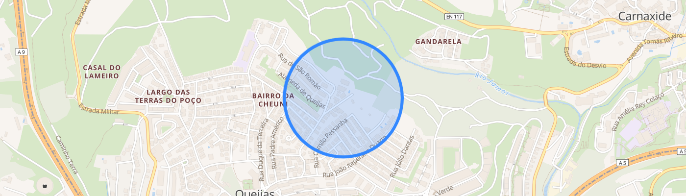 listing-map-picture