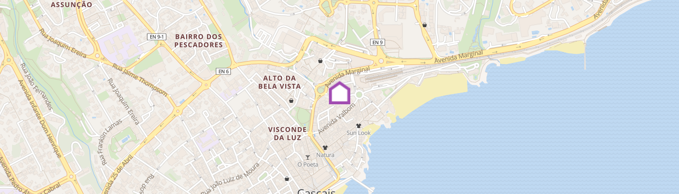 listing-map-picture