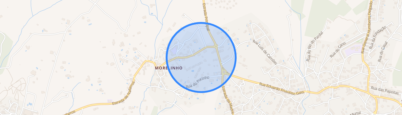 listing-map-picture