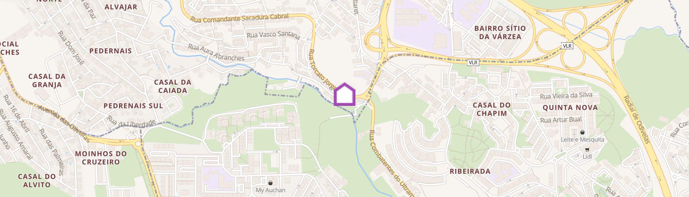 listing-map-picture