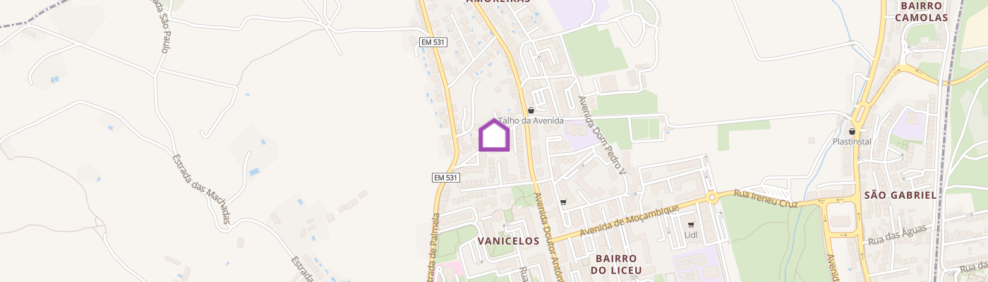 listing-map-picture