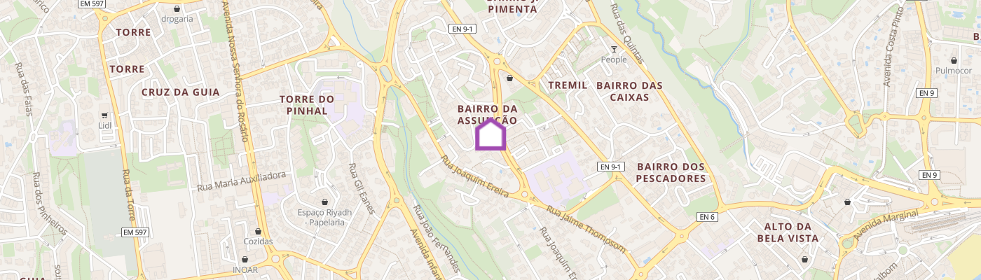 listing-map-picture