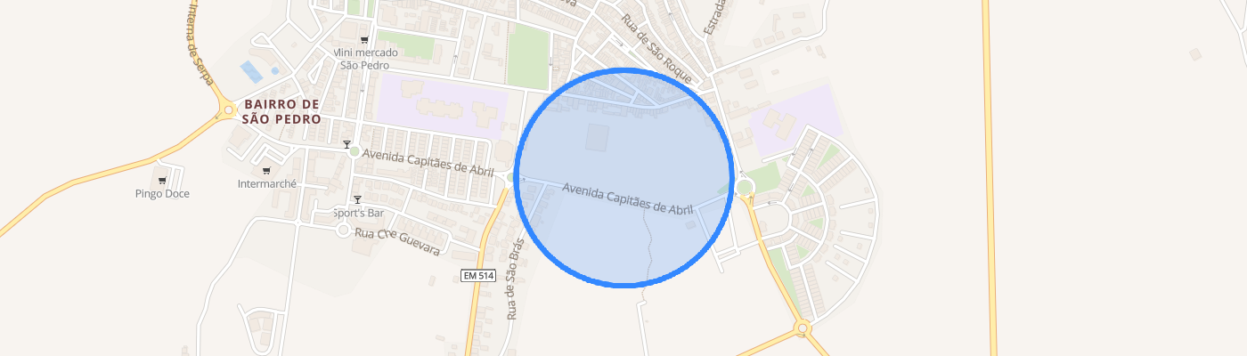 listing-map-picture
