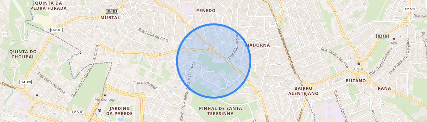 listing-map-picture
