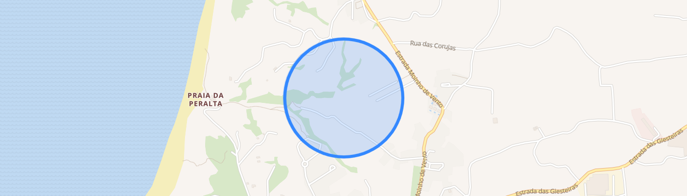listing-map-picture