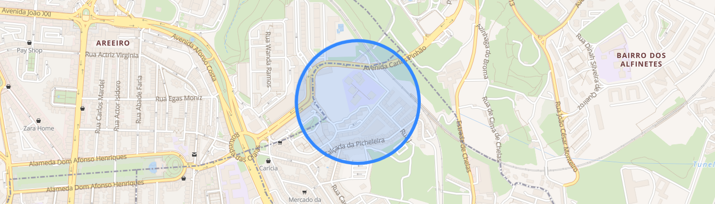listing-map-picture