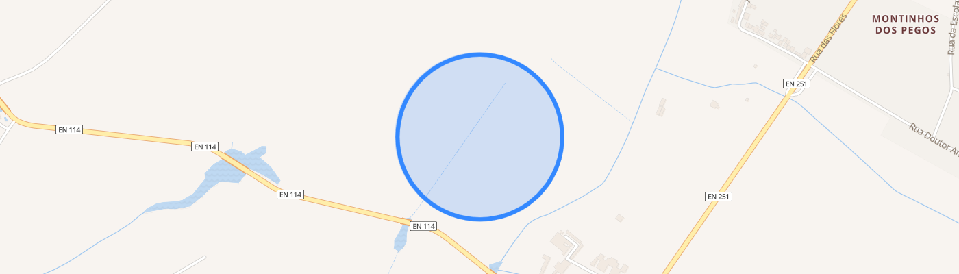 listing-map-picture