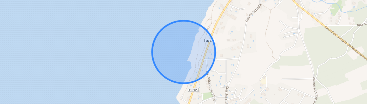 listing-map-picture