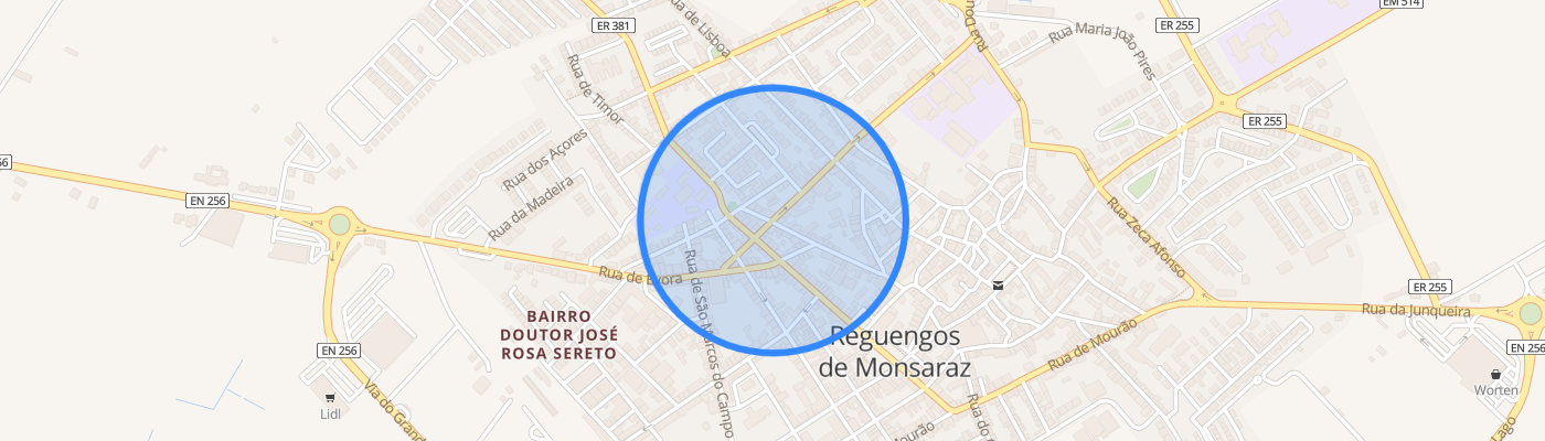 listing-map-picture