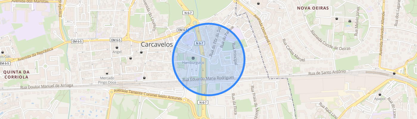 listing-map-picture