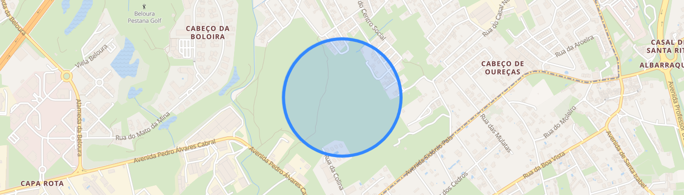 listing-map-picture