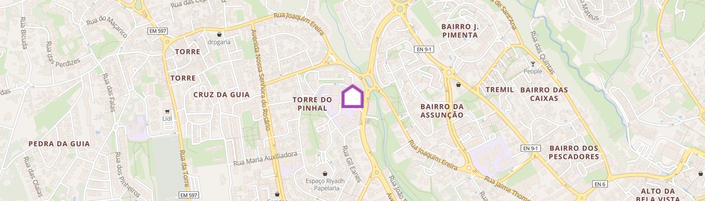 listing-map-picture