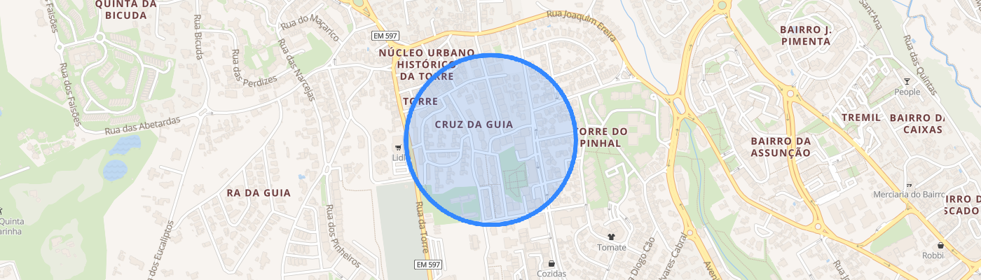 listing-map-picture