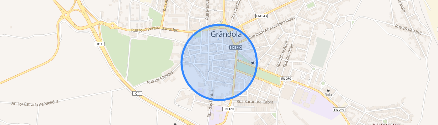listing-map-picture