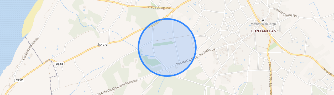 listing-map-picture