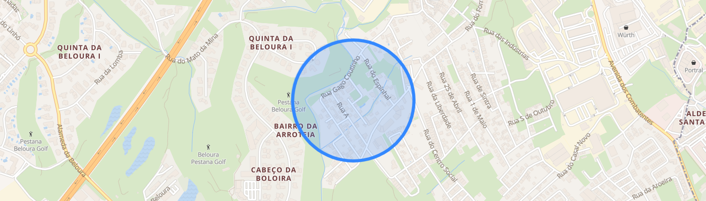 listing-map-picture