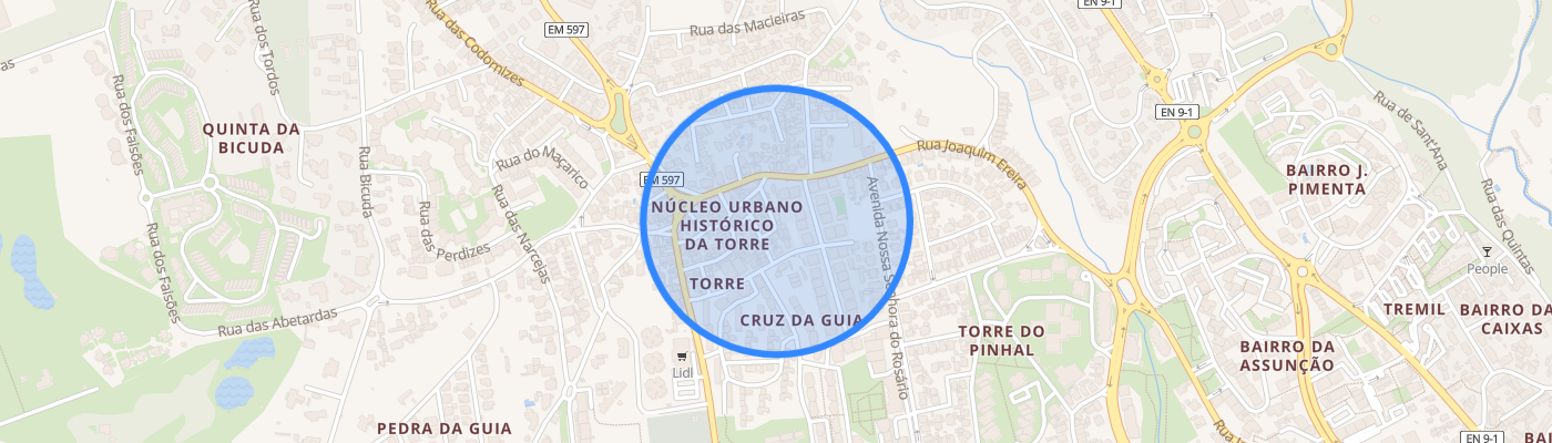 listing-map-picture