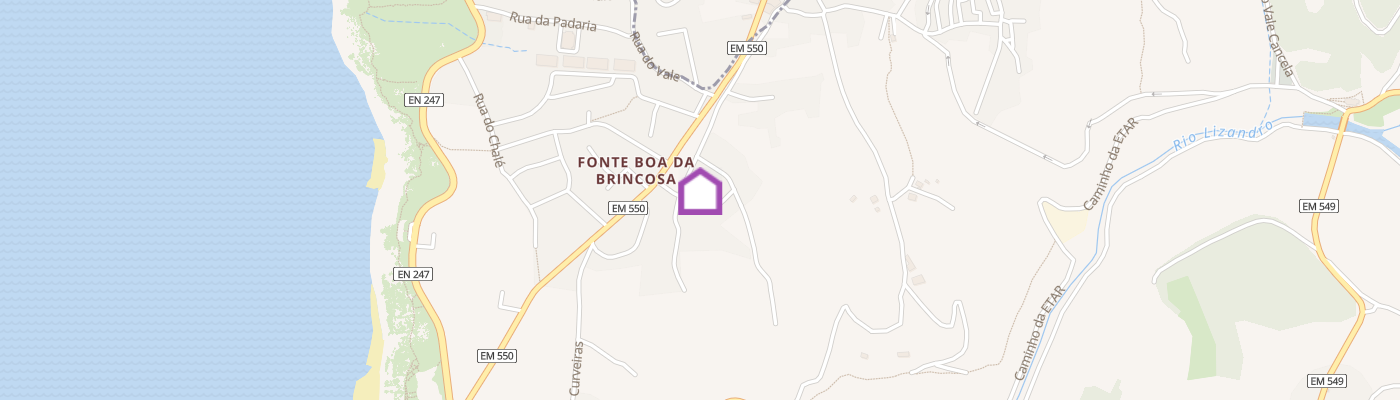 listing-map-picture