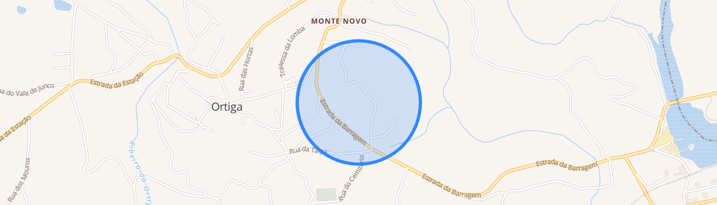 listing-map-picture