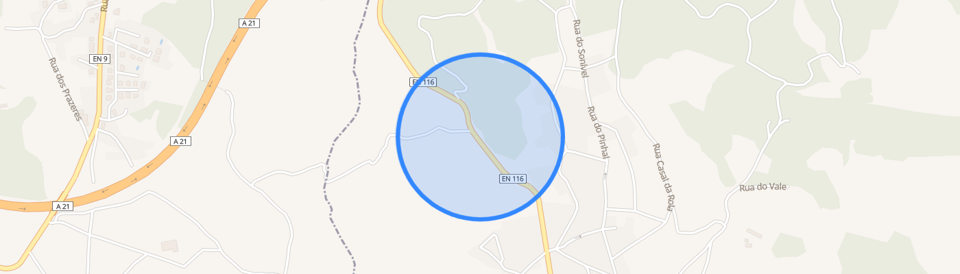 listing-map-picture