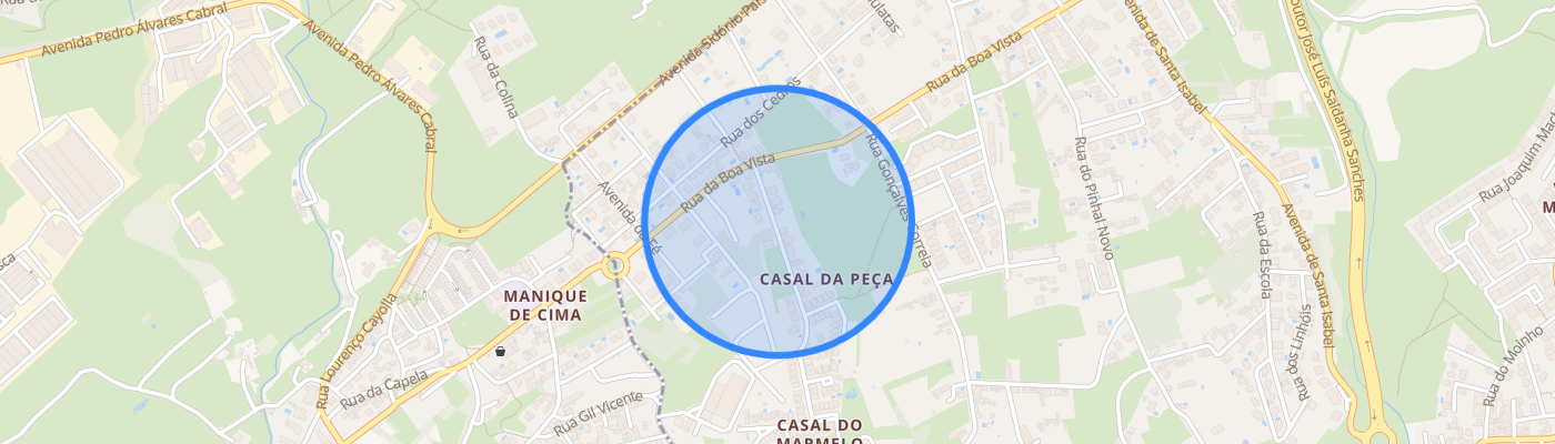 listing-map-picture