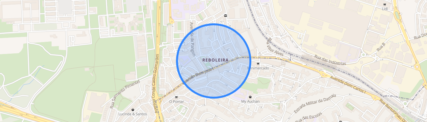 listing-map-picture