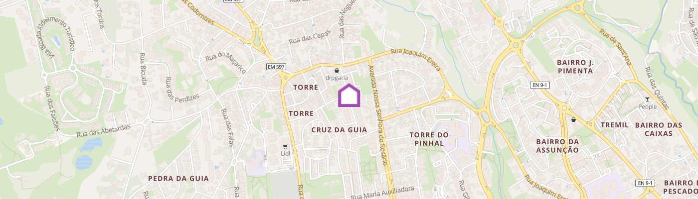 listing-map-picture