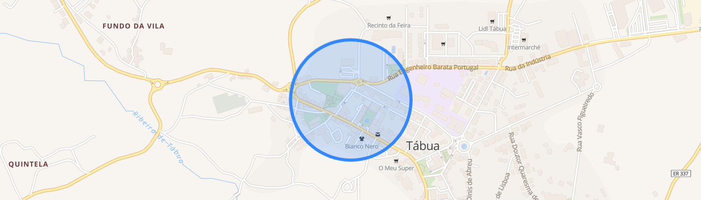 listing-map-picture