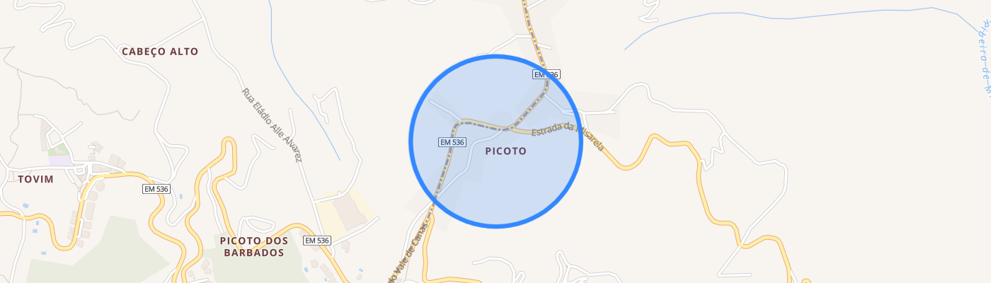listing-map-picture