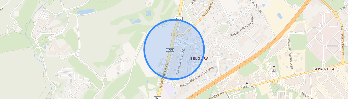 listing-map-picture