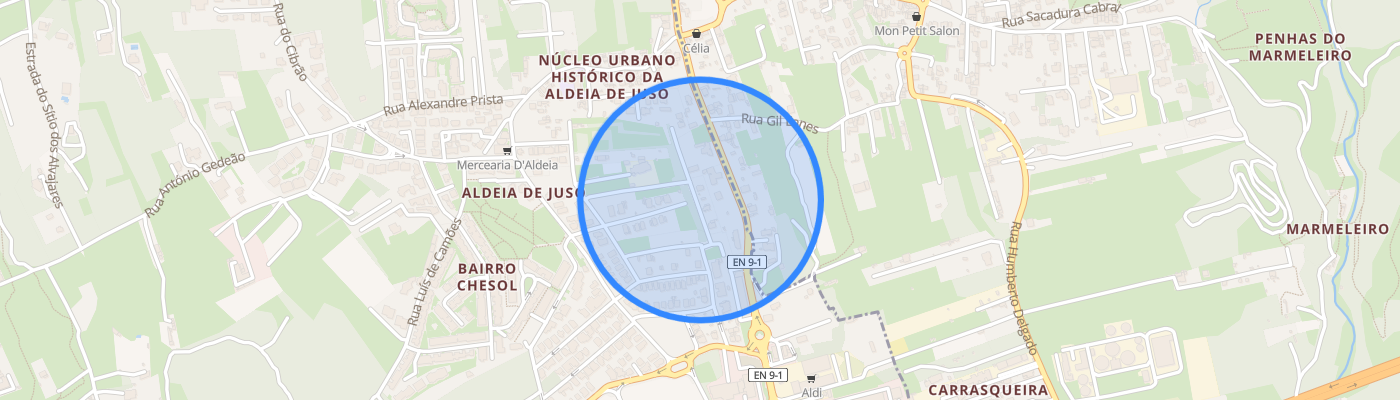 listing-map-picture