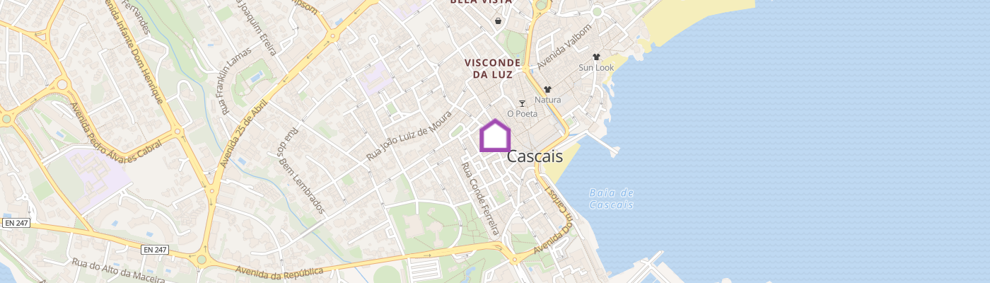 listing-map-picture