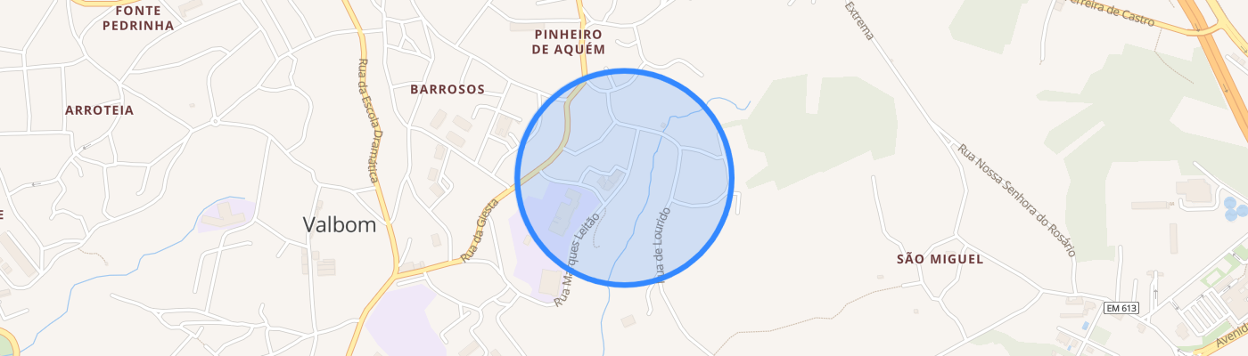 listing-map-picture
