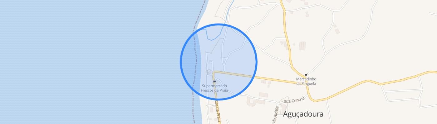 listing-map-picture