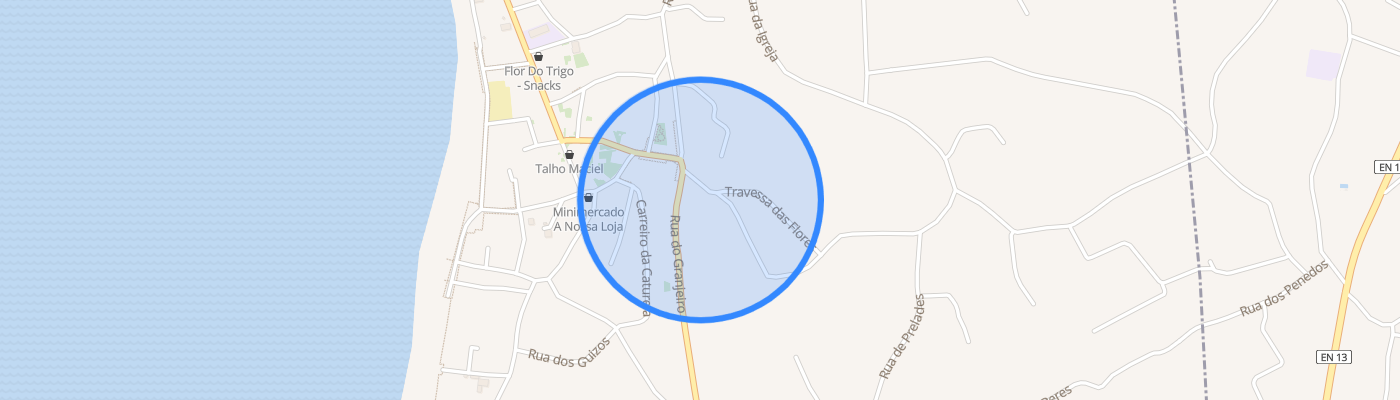 listing-map-picture